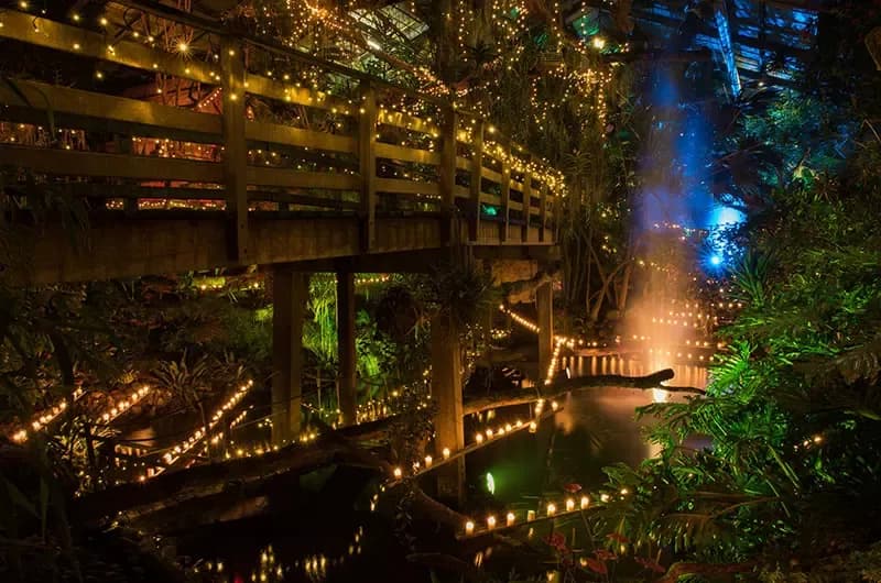 WinterDroom bij Pantropica